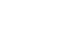 Welspun logo