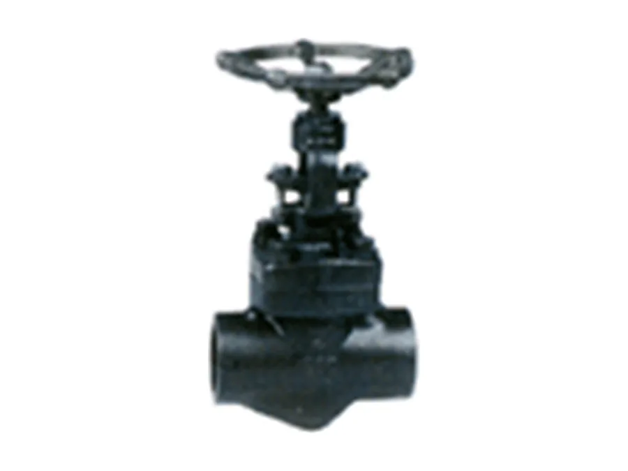 Forged steel gate valve